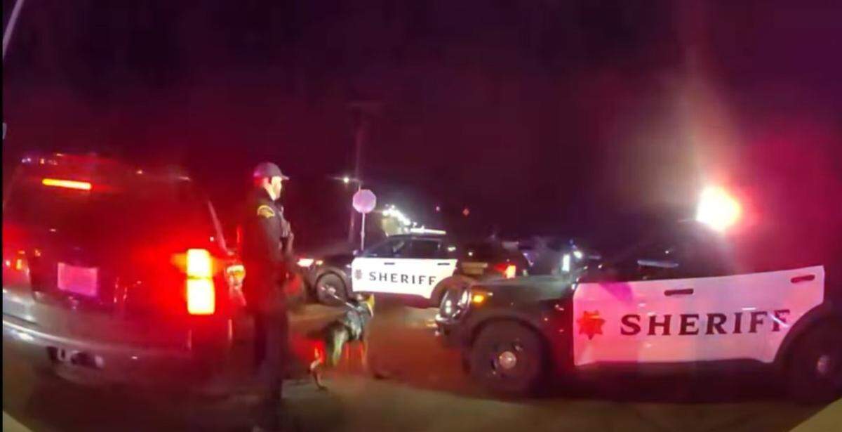 Thurston County Sheriff’s deputies arrested a wrong-way driver late Saturday night.