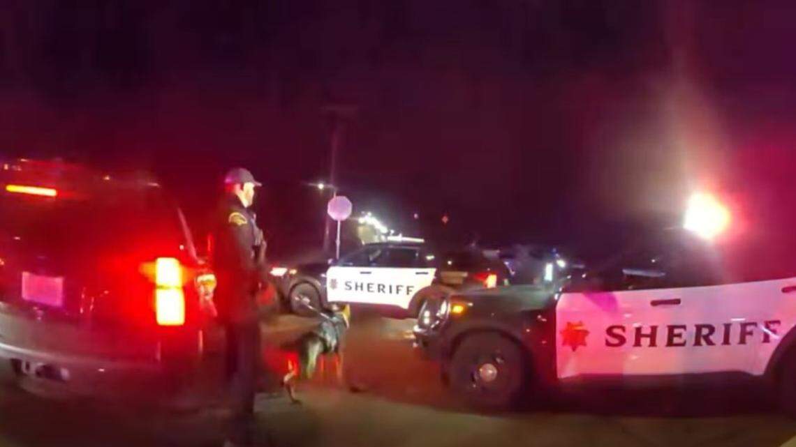 Deputies arrest wrong-way driver in Thurston County, Sheriff Sanders says