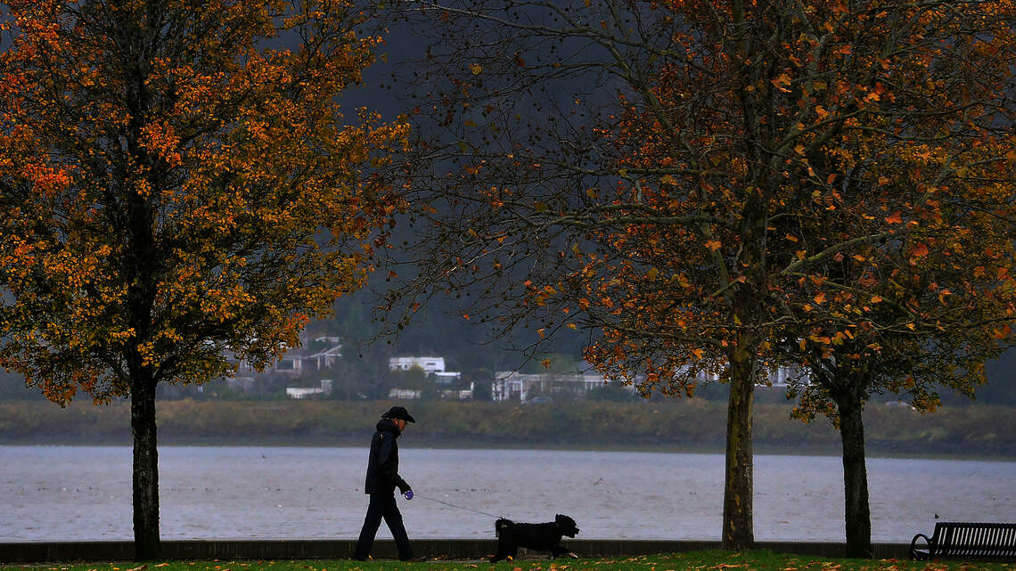 South Sound escapes flooding from ‘atmospheric river’