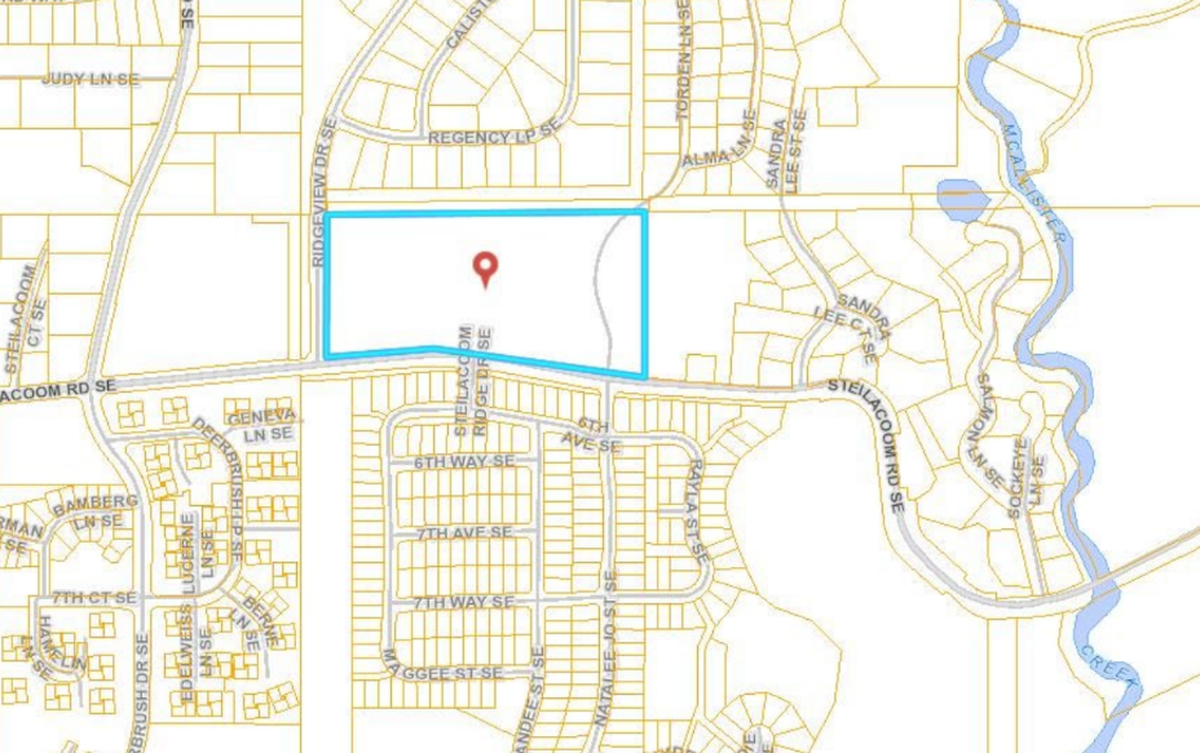A developer has proposed 65 homes at this site on Steilacoom Road in Lacey’s urban growth area.