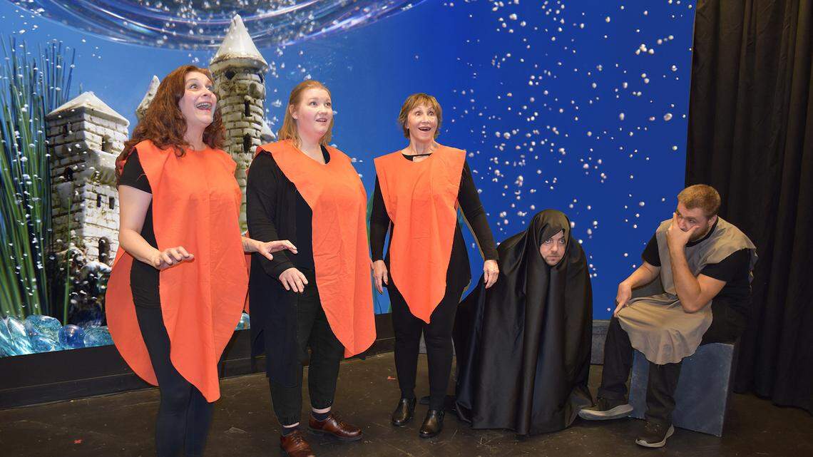 Short plays, unusual films and classical music are all on the entertainment menu in Olympia