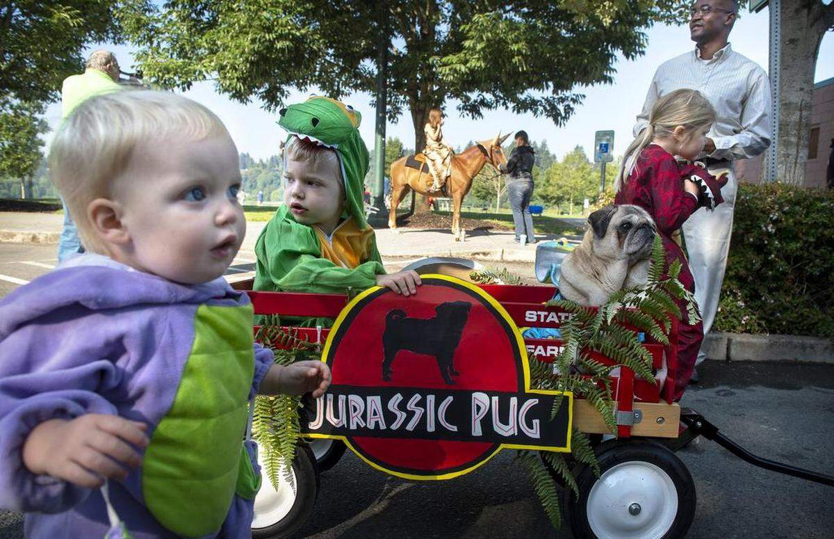 Riley Soderquist, 1, and brother, Russell Soderquist, 3, wait with Kirby the Jurassic Pug for the start of the 89th annual Pet Parade in downtown Olympia on Saturday. The duo are the children of Lindsey and Jeff Soderquist of Olympia.