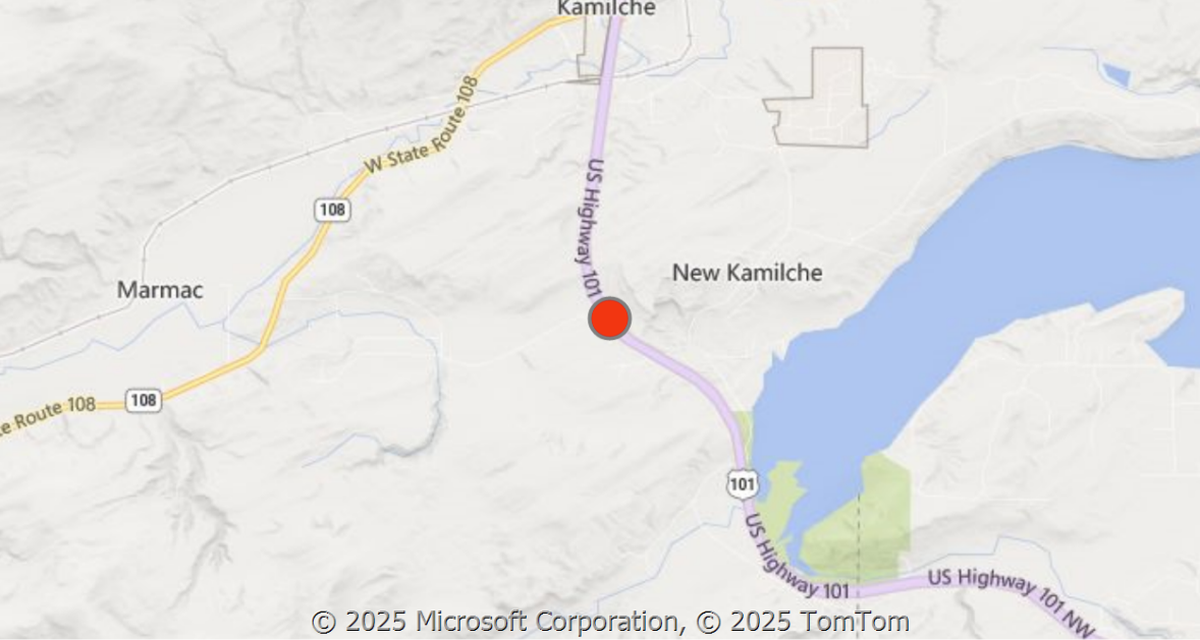 Two people suffered injuries in a car crash on U.S. 101 in south Mason County on Tuesday, July 8, 2025. Washington State Patrol shared a map indicating the crash occurred near Osyter Bay.
