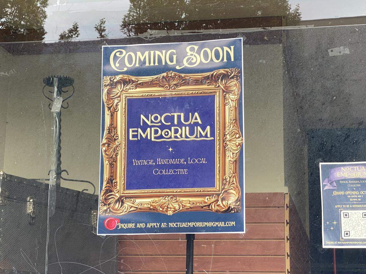 Noctua Emporium is filling a space left vacant by Old Town Bicycle at 420 Capitol Way S.