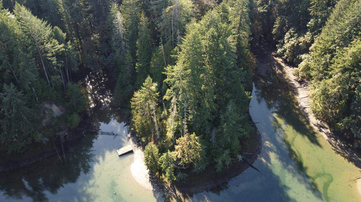 Marine shoreline at the Nisqually Land Trust’s recently protected Baird Cove pocket estuary. This pristine forested shoreline property is located on Johnson Point in south Puget Sound just south of Zittle’s Marina.