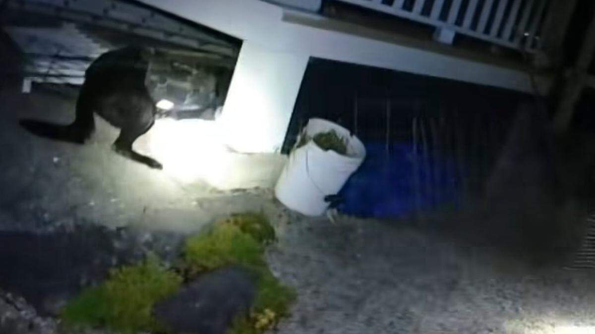 In a screen grab, the police dog can be seen entering the space under the deck early Saturday morning.