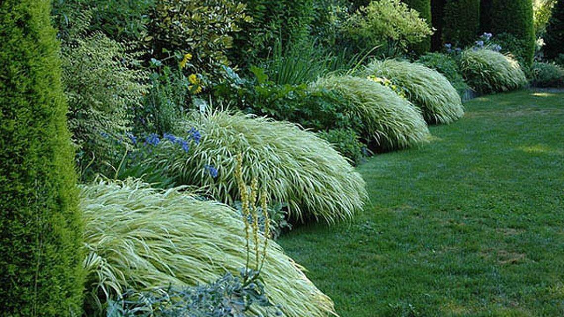 Mayday! Mayday! It’s still too early to put some heat-loving plants outside in the NW