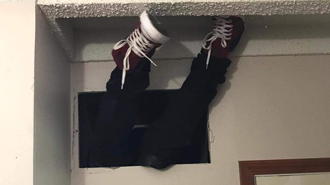 A man wanted on a felony warrant for forgery tried to hide from a Thurston County Sheriff’s Office deputy on Thursday.