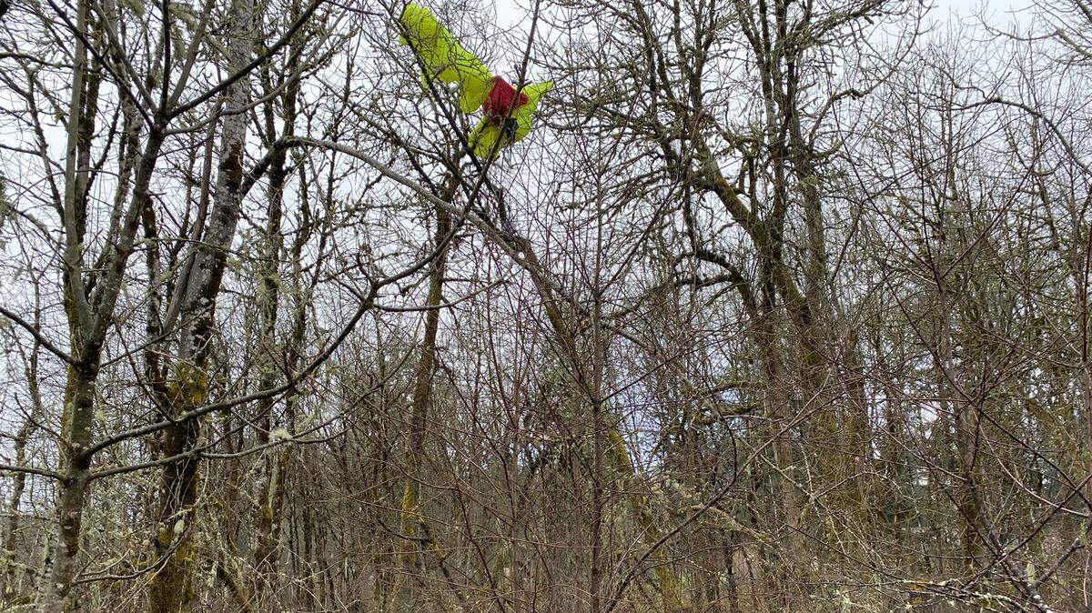 Central Mason Fire and EMS were dispatched on April 1 to reports of a parachutist stuck in a tree.