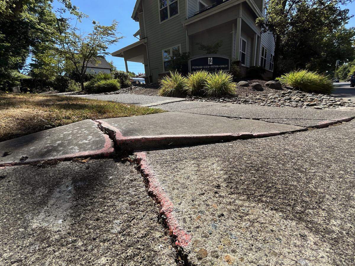 The city of Olympia’s sidewalk condition assessment has identified nearly 28,000 points of specific damage that need addressing such as this section at the intersection of Legion Way SE and Pear St. SE. There were nearly 1,500 labeled as high severity damage, with most of the spots centered around downtown and some of the nearby residential areas.