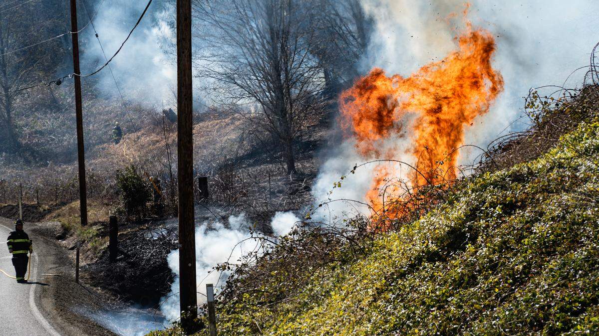 Crews battle a wildfire Wednesday afternoon near the western edge of Capitol State Forest.
