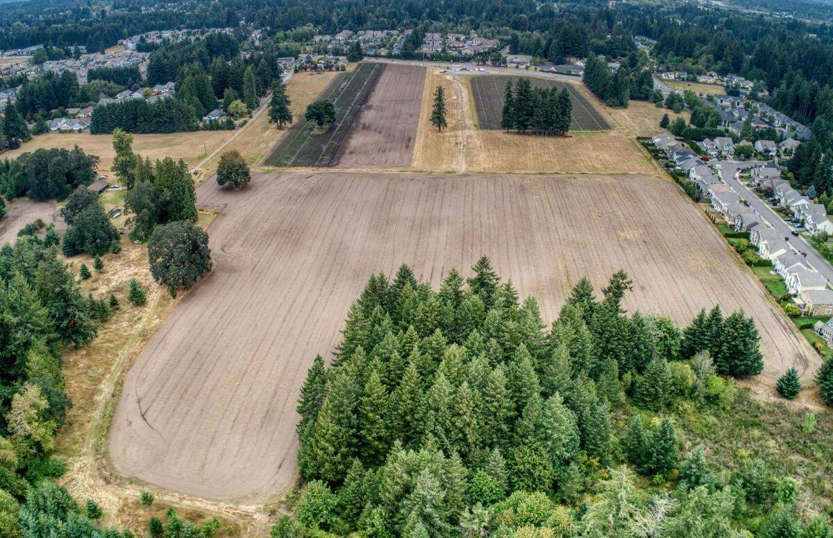 The land for the Yelm Highway Community Park, located at 3323 Yelm Highway, was purchased in 2018 and is where Spooner Berry Farms currently has a U-Pick strawberry farm. The Olympia School District approached the Parks, Arts and Recreation Department in 2020 to propose a school co-location at the park, but the department’s advisory committee voted against the partnership.