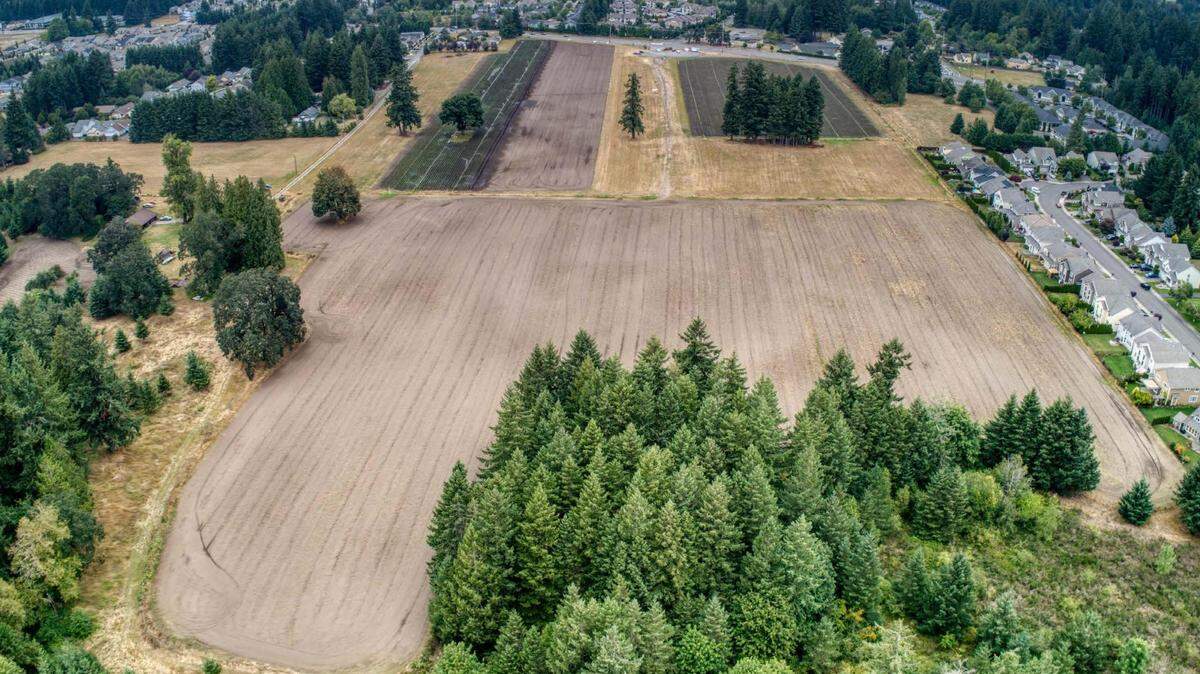 The land for the Yelm Highway Community Park, located at 3323 Yelm Highway, was purchased in 2018 and is where Spooner Berry Farms currently has a U-Pick strawberry farm. The Olympia School District approached the Parks, Arts and Recreation Department in 2020 to propose a school co-location at the park, but the department’s advisory committee voted against the partnership.
