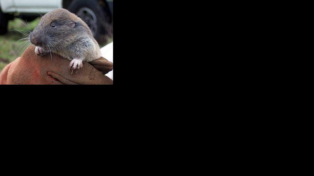 State targets landowner's gopher battle
