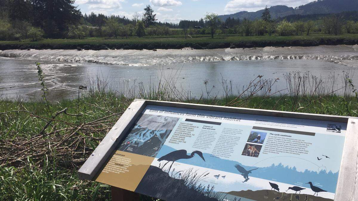 One of the properties the Capitol Land Trust has opened to the public is the Randall Preserve, a small property that offers access to saltwater views of Mud Bay west of Olympia.
