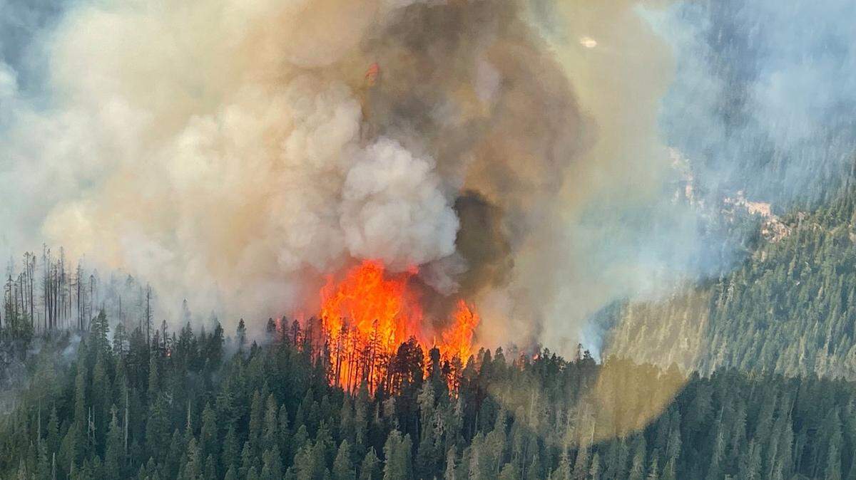 The Goat Rocks Wilderness Fire roughly 7 miles northeast of Packwood has grown to 80 acres.