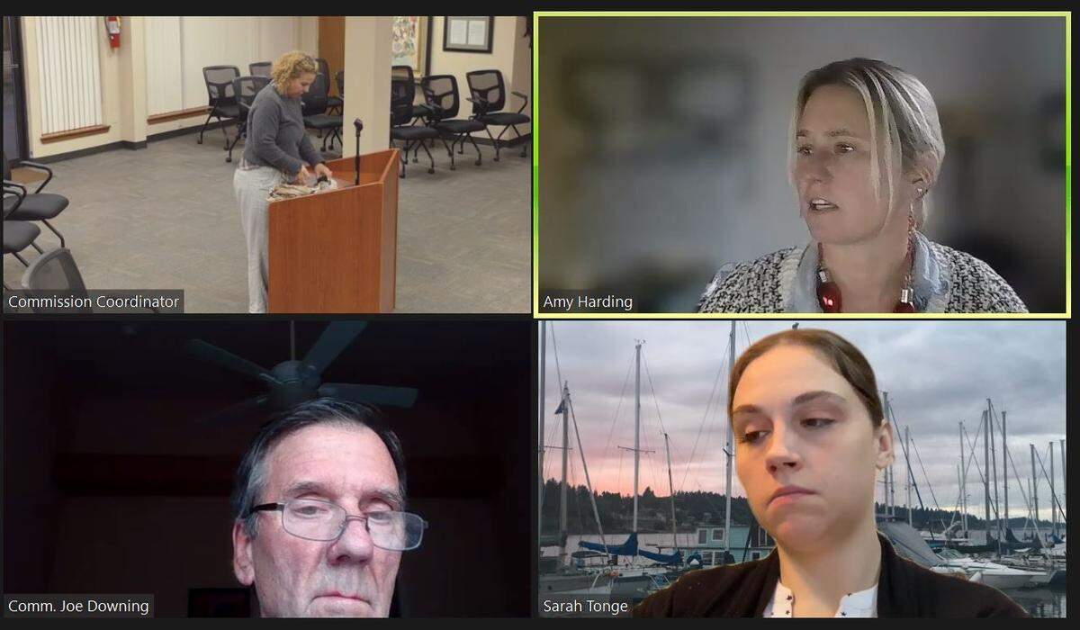 Port of Olympia commissioners Amy Evans Harding (upper right), Sarah Tonge and Joe Downing.