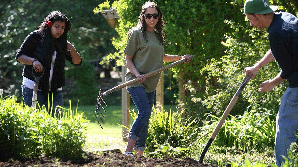 Cultivating Youth graduates (from left) Alma Barragan of Olympia, Tasha Buck of Lacey and Ariel Field-Borodin of Olympia prepare beds for planting at the GRuB garden in west Olympia in 2011.