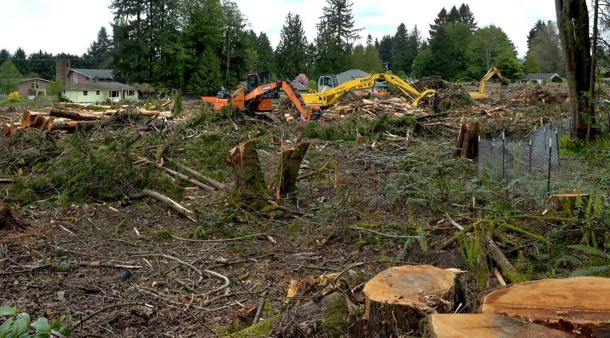 May 17, 2022 photo of the recently cleared land parcel near the intersection of 22nd Ave SE & Cain Rd SE in Olympia.