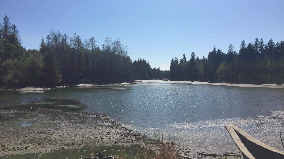The Woodard Bay Conservation Area on Henderson Inlet.