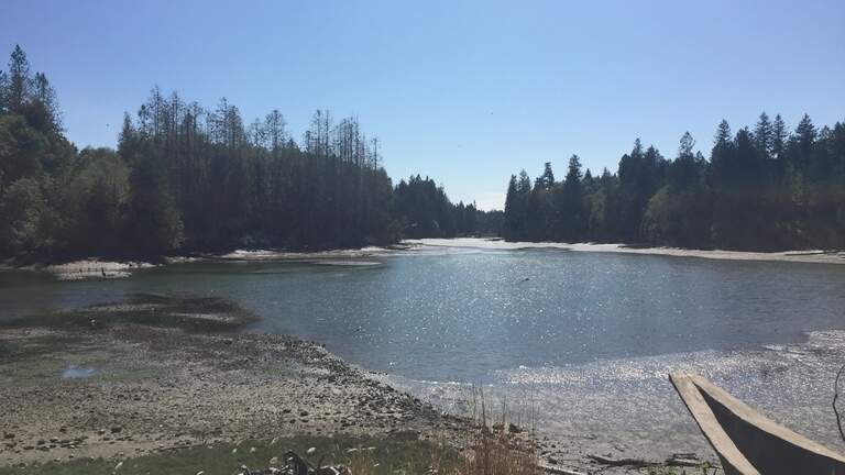 Olympia sign tagged with hate speech, hate symbol last weekend | The ...