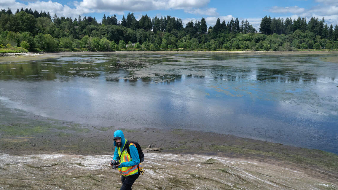 Here’s how to get involved in the creation of Olympia’s future restored estuary