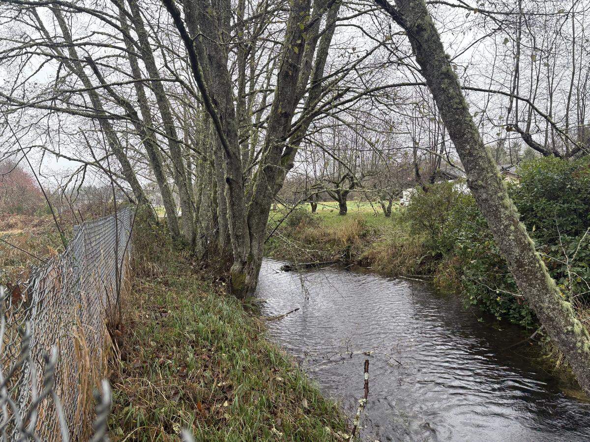 Chambers Ditch, which starts at Chambers Lake near Lacey and the Chehalis Western Trail, and then flows south.