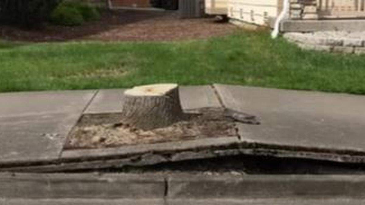 Sidewalks on Parkside Drive Southeast, between Yelm Highway and a roundabout at 53rd Avenue Southeast, are set for repairs.