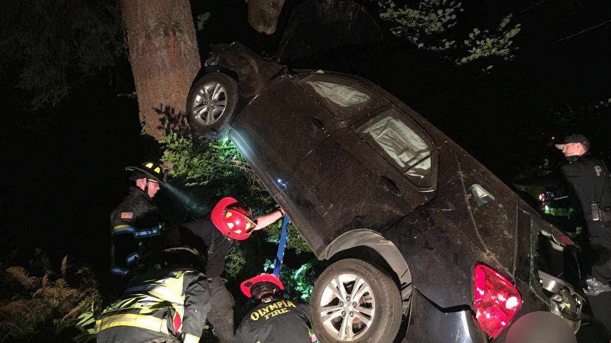 A man who accidentally electrocuted himself, and another man who died after driving into a tree, were identified Tuesday by the Thurston County Coroner’s Office.