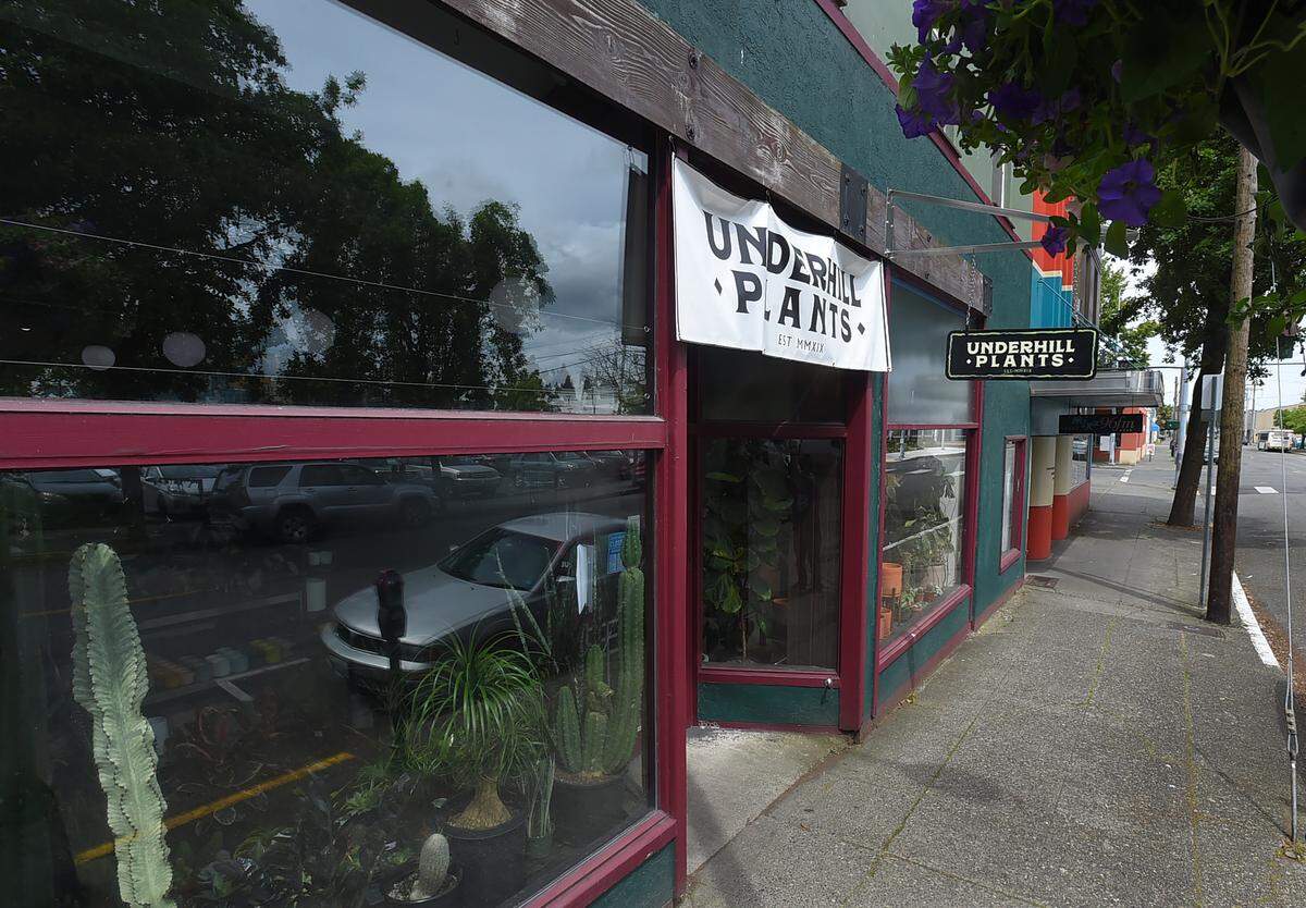 Underhill Plants owner Alden Davis relocated his business to Washington Street and several blocks from their former location at the corner of Fourth Avenue and Franklin Street.
