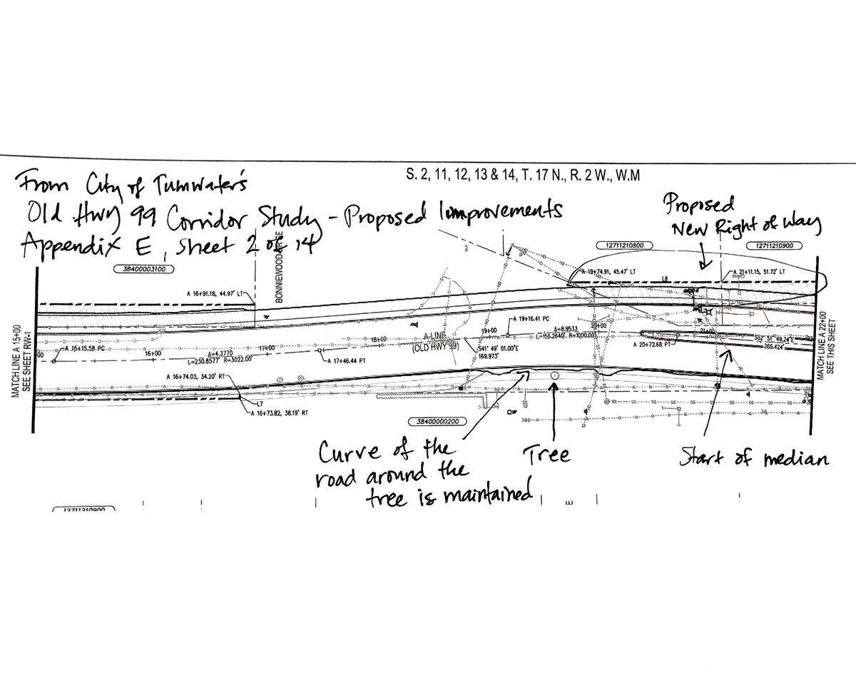 An excerpt from the Old Highway 99 Corridor Study shows where the tree would continue to be avoided by any future highway expansion plans.
