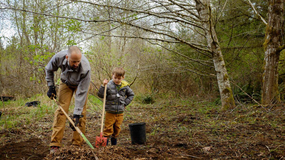 Saturday, the city of Olympia will fete trees and other native plants at its Arbor Day Celebration.