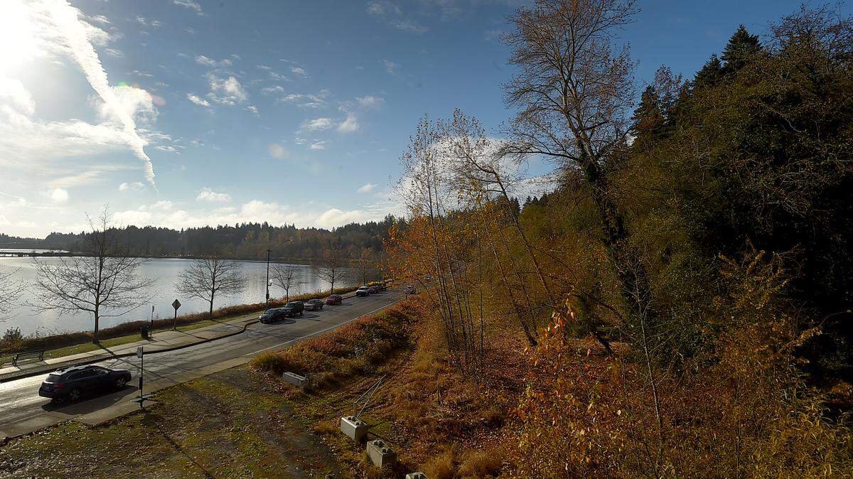 Formerly the site of a homeless encampment, this area along Deschutes Parkway in Olympia is being considered for development.