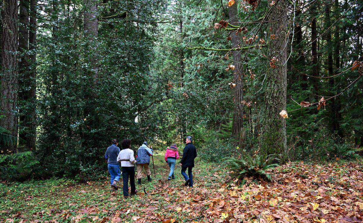 City of Olympia Parks Planning & Design Manager Laura Keehan walks a property parcel near Kaiser Road in west Olympia on Nov. 18 with resident Suzanne Long Paulsrude and Angela J. Bowen Conservancy Foundation representatives Doug Mac and Barbara Benson along with Olympian reporter Ty Vinson. The land is slated to become a future park property through a grant given by the foundation.
