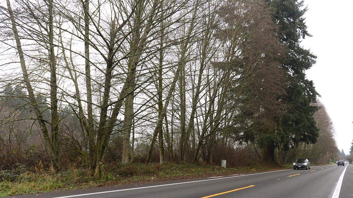 The city of Olympia is preparing to select a developer to build multifamily housing on a 10-acre parcel at 3900 Boulevard Road.