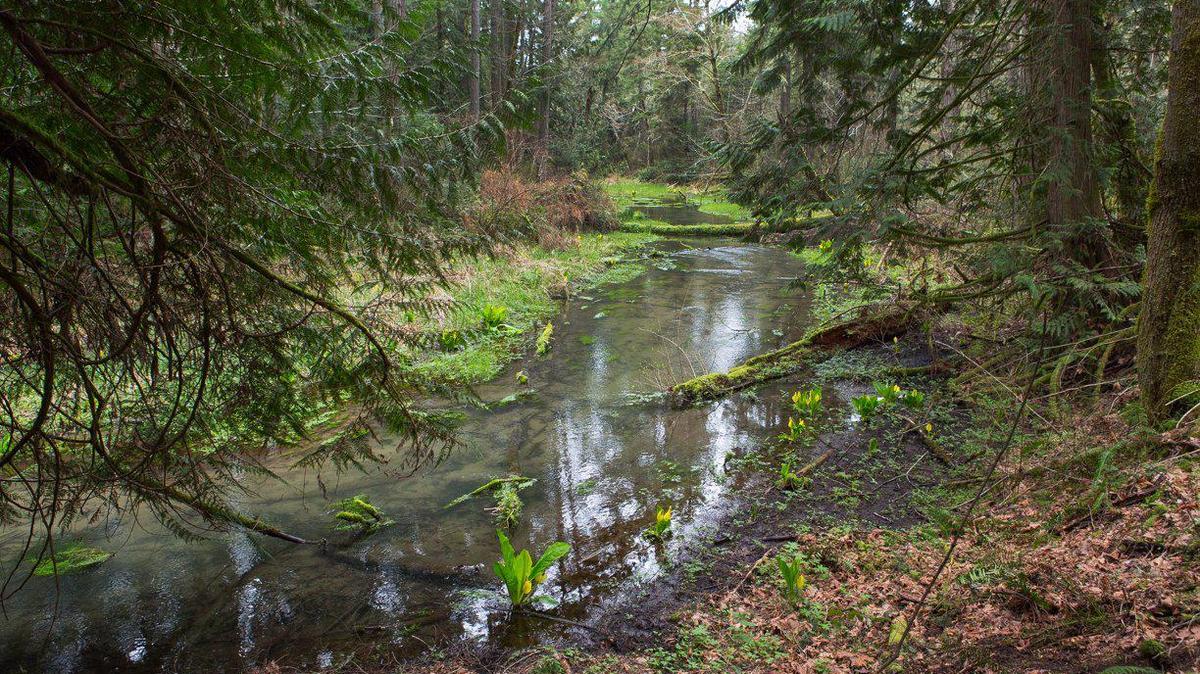 Indigenous photographers, videographers and filmmakers are asking that environmental nonprofit Nia Tero return their intellectual property.