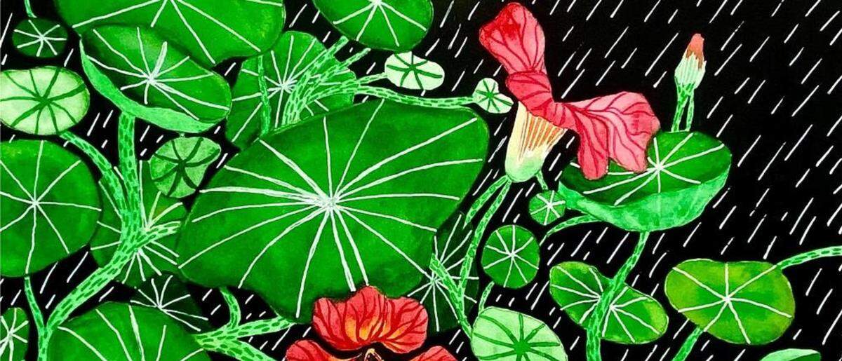 “Nasturtium” by Leila Chavez. Watercolor, Olympia, Washington.