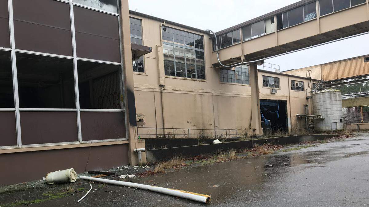 A city photo of the brewery property in Tumwater shows some of the disrepair that has Tumwater officials concerned.