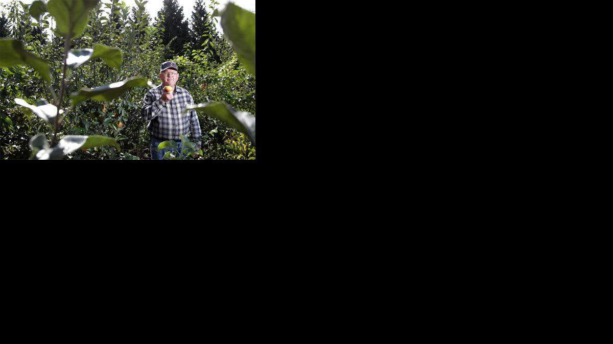 Puyallup nursery owner knows his apple tree