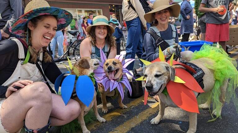 Get ready for this year’s Olympia Pet Parade June 22. Here are the details
