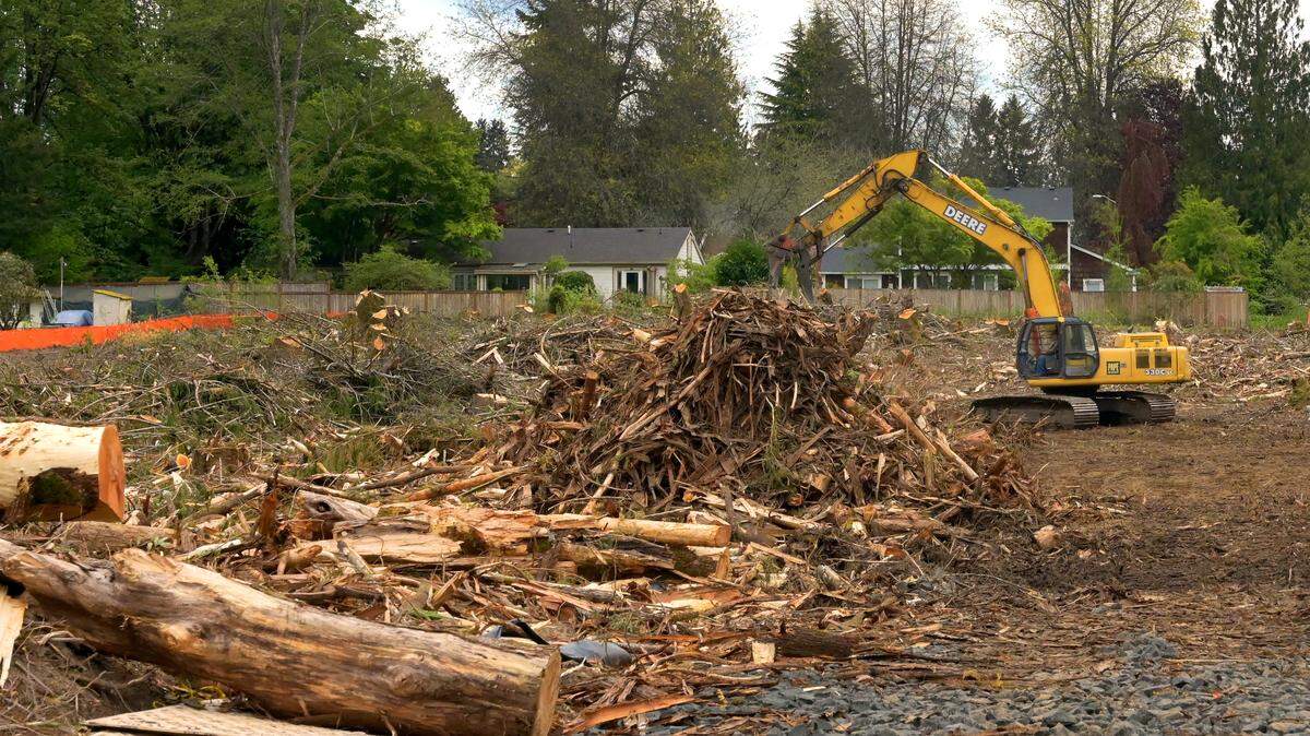 The recently cleared land parcel near the intersection of 22nd Avenue Southeast and Cain Road in Olympia.