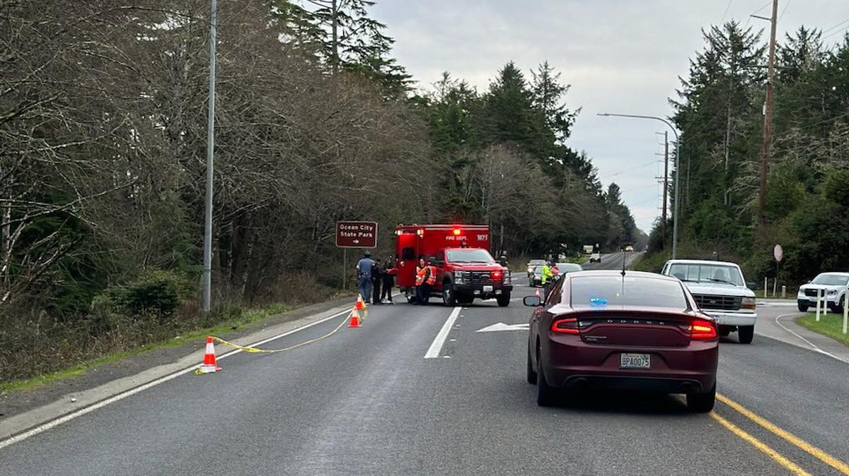 The man was hit and killed near Ocean Shores, according to Washington State Patrol. He was 55 and from Aberdeen.