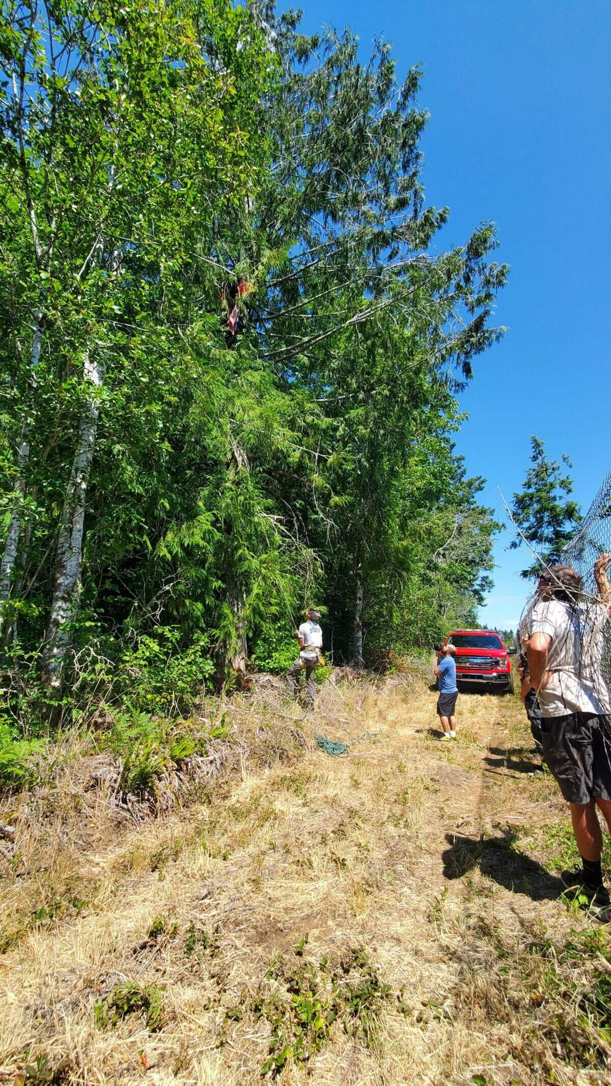 The Washington State Patrol and Central Mason Fire & EMS rescued a man from a tree on Sunday after he lost consciousness on his way down. He was airlifted to Harborview Medical Center.&nbsp;
