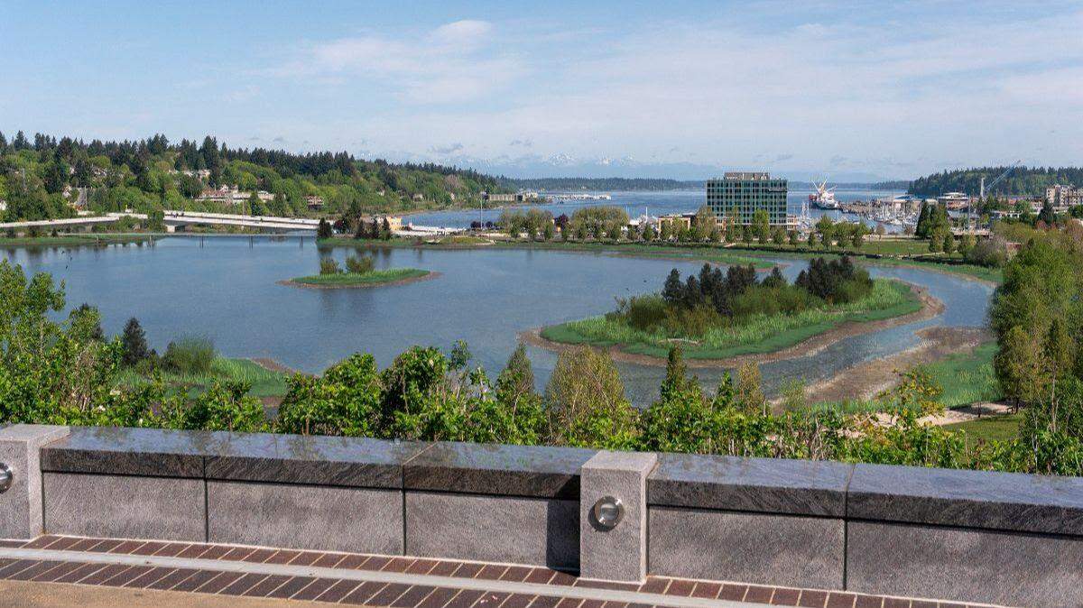 Here is a visual simulation of what the estuary would look like from north overlook on the Capitol Campus during mean tide.