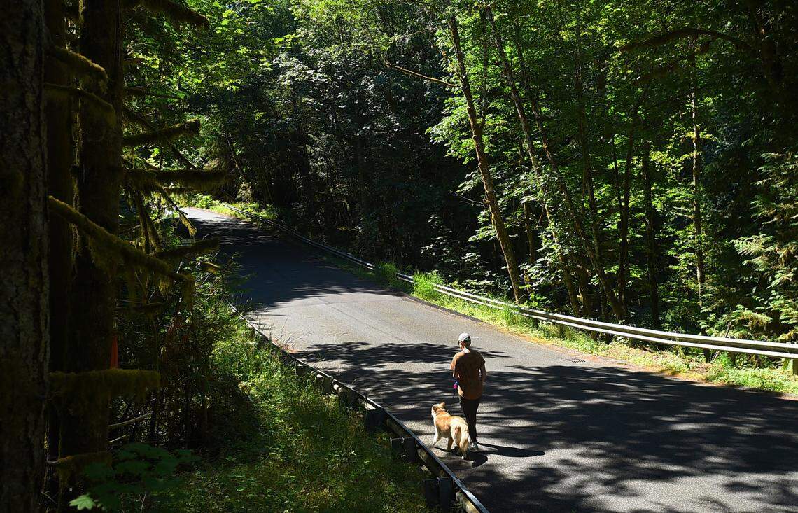 A man and dog cross the old Country Club Road culvert in 2022. A bridge replacing the failing road and culvert opened at the end of August 2025.