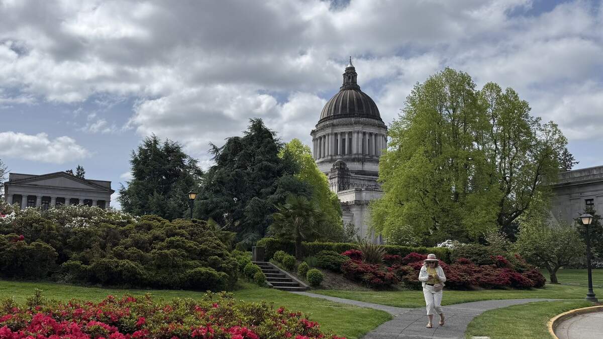The Capitol Building in Olympia peers over the Sunken Garden on May 7, 2026.