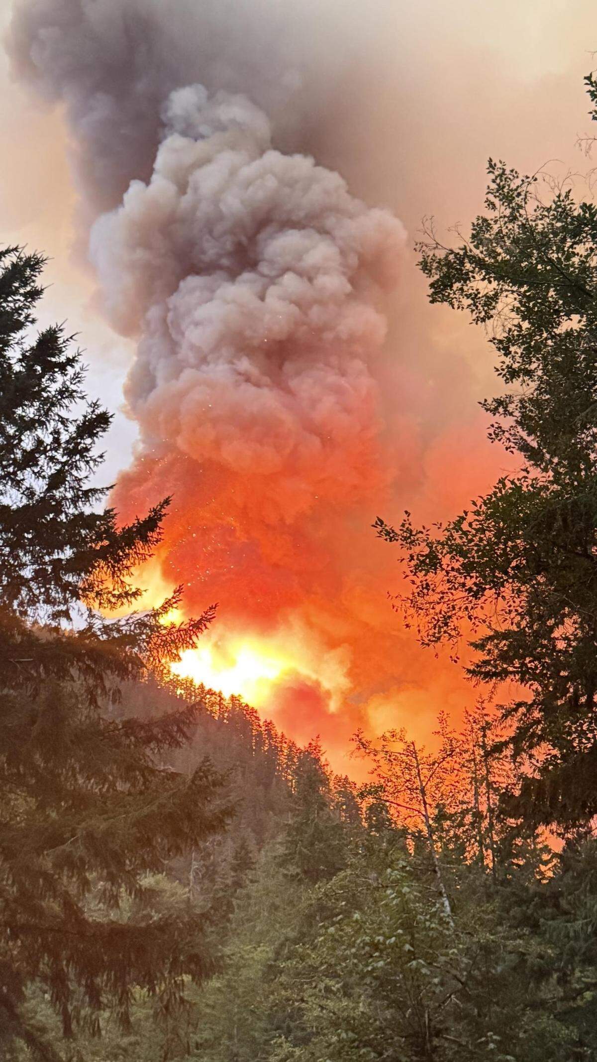 A Level 3 “GO” evacuation was ordered for areas near Lake Cushman in Olympic National Park as the Bear Gulch fire grew to more than 3,000 acres on Thursday. The fire was only 3% contained.