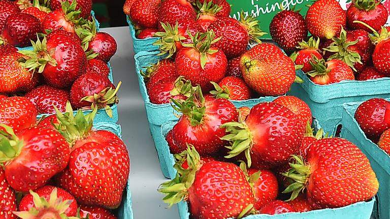 South Sound berry season is here! Where to find the first of the strawberries