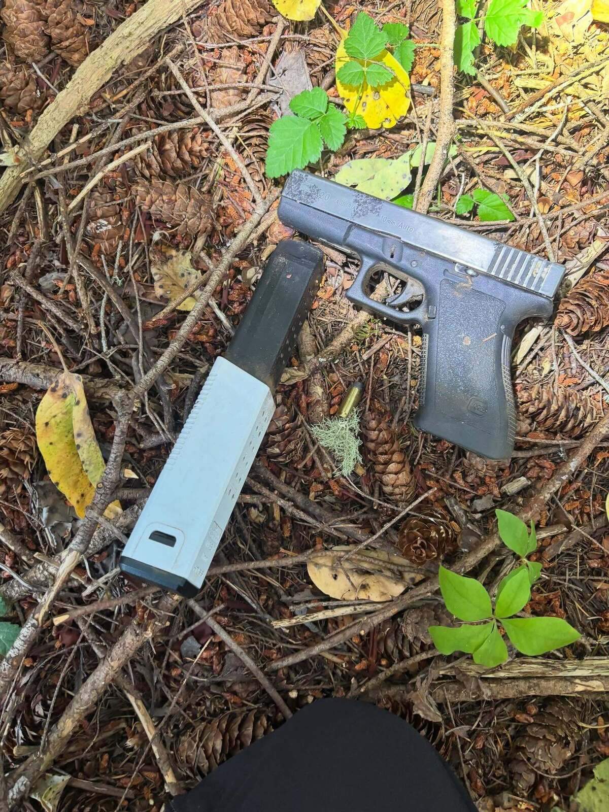 Two teens were arrested after a domestic violence incident at Long Lake Park in Lacey; police recovered a Glock and a child was left with grandparents.