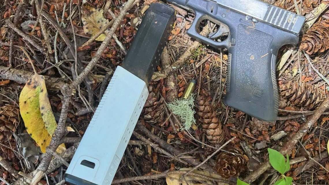 Gun found after domestic violence incident at lakeside park, Lacey police say
